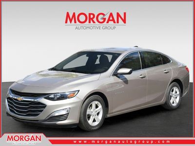 2024 Chevrolet Malibu - Photo 1