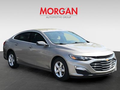 2024 Chevrolet Malibu - Photo 3