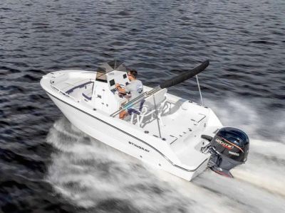 2026 Stingray 173CC - Photo 12