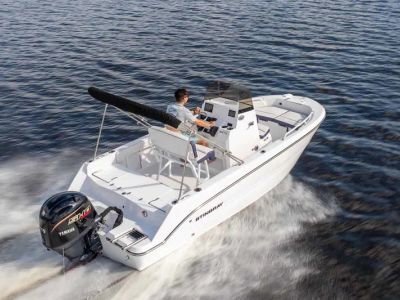 2026 Stingray 173CC - Photo 11