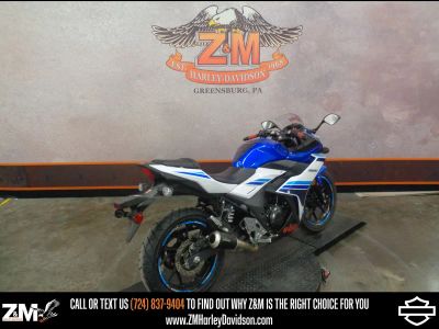 2019 Suzuki GSX250R - Photo 6