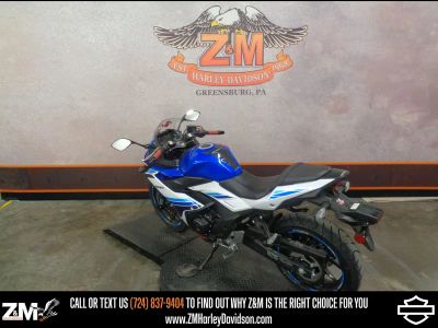 2019 Suzuki GSX250R - Photo 5