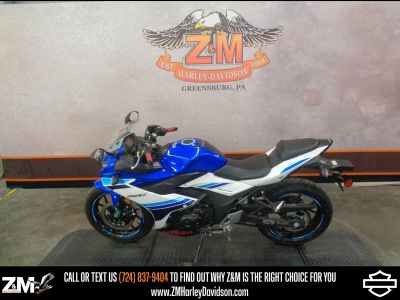 2019 Suzuki GSX250R - Photo 4