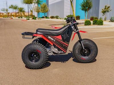 2026 MINI RCR T3 - Photo 3