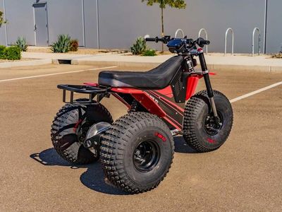 2026 MINI RCR T3 - Photo 4