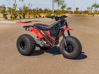 2026 MINI RCR T3 - Photo 2