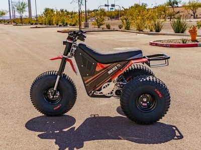 2026 MINI RCR T3 - Photo 6