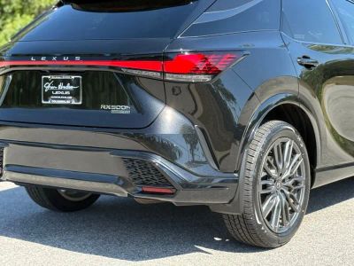 2024 Lexus RX - Photo 14