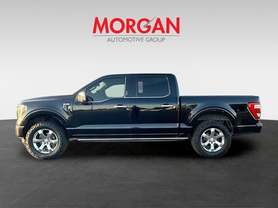 2021 Ford F-150 — side profile view