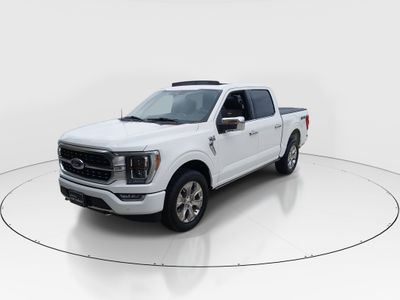 2023 Ford F-150 — rear three-quarter view