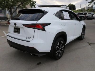 2019 Lexus NX — detail view