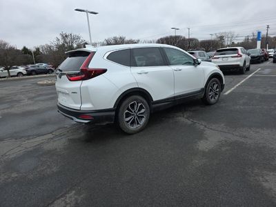 2021 Honda CR-V EX-L — photo 8 view
