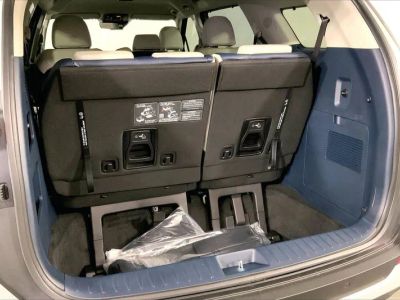 2026 Kia Carnival — detail view