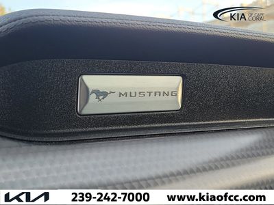 2019 Ford Mustang — photo 25 view