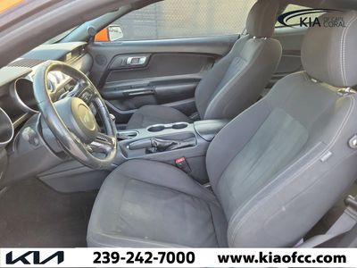 2019 Ford Mustang — photo 13 view