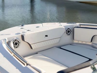2026 Stingray 20 SBX - Photo 2