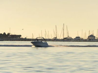 2026 Stingray 20 SBX - Photo 13