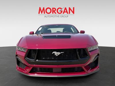 2025 Ford Mustang - Photo 8