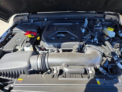 2025 Jeep Wrangler — photo 12 view