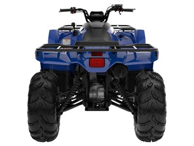 2026 Yamaha Kodiak 450 - Photo 12