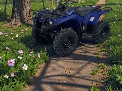 2026 Yamaha Kodiak 450 - Photo 2