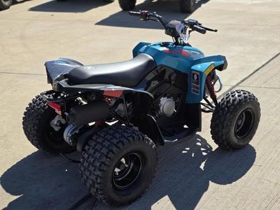 2026 Can-Am Renegade 110 EFI — photo 7 view