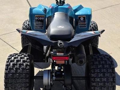 2026 Can-Am Renegade 110 EFI — photo 8 view