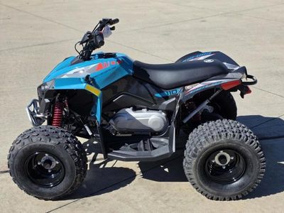 2026 Can-Am Renegade 110 EFI — photo 10 view