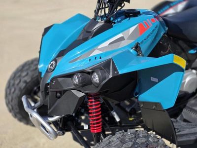 2026 Can-Am Renegade 110 EFI — photo 14 view