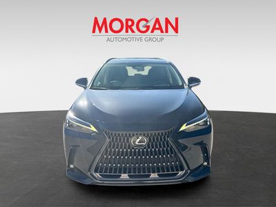 2022 Lexus NX — side profile view