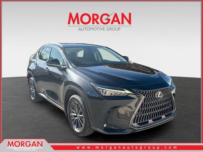 2022 Lexus NX 350 Premium in Caviar — front three-quarter view