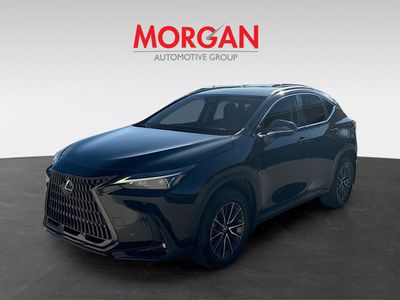 2022 Lexus NX — rear three-quarter view