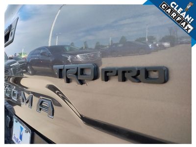 2020 Toyota Tacoma — photo 14 view