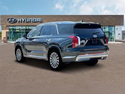 2025 Hyundai PALISADE — detail view