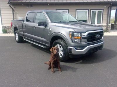 2023 Ford F-150 — rear three-quarter view