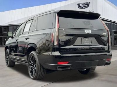 2024 Cadillac Escalade — detail view