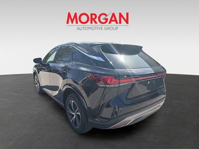 2024 Lexus RX — detail view