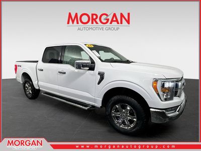 2023 Ford F-150 Lariat in Oxford White — front three-quarter view
