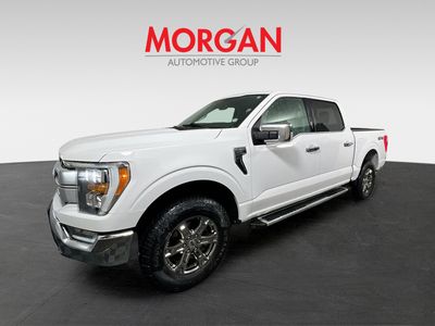 2023 Ford F-150 — photo 7 view