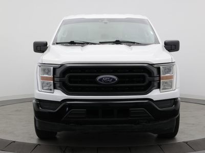 2023 Ford F-150 — side profile view