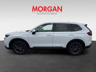 2026 Honda CR-V - Photo 4