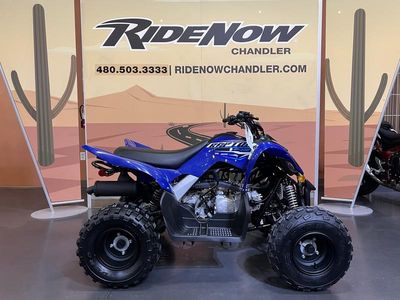 2026 Yamaha Raptor 110 — detail view