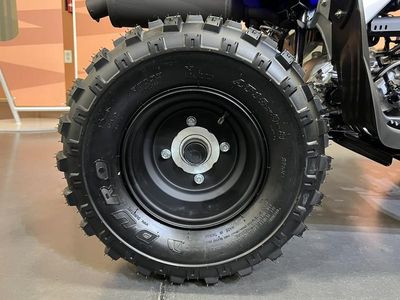 2026 Yamaha Raptor 110 — photo 14 view