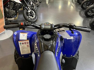 2026 Yamaha Raptor 110 — photo 8 view