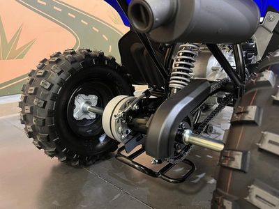 2026 Yamaha Raptor 110 — photo 15 view