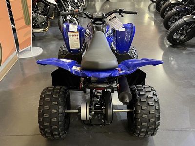 2026 Yamaha Raptor 110 — interior view