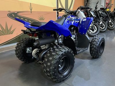 2026 Yamaha Raptor 110 — rear three-quarter view
