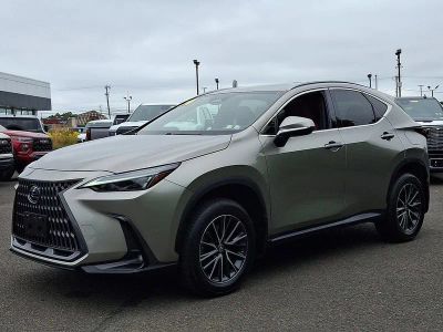 2024 Lexus NX 350 — rear three-quarter view