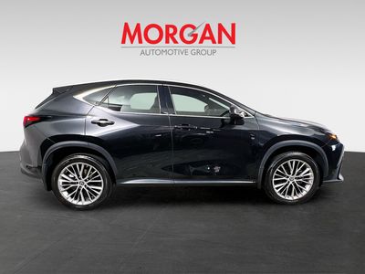 2023 Lexus NX — side profile view