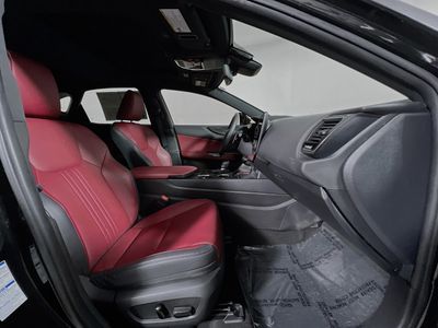 2023 Lexus NX — photo 28 view
